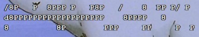 between_subtitles2.JPG